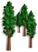Sequoias