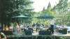 Los Gatos Park concert